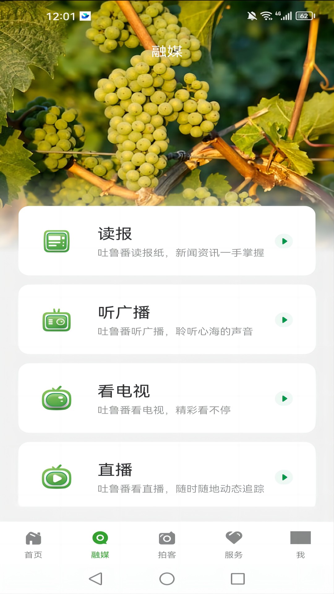 葡萄熟了截图3