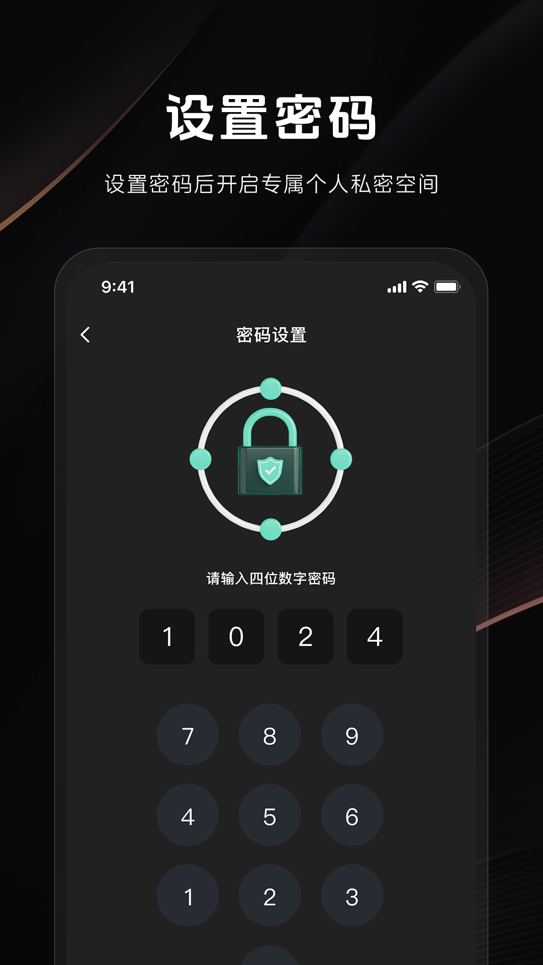 秘密隐私播放器截图2