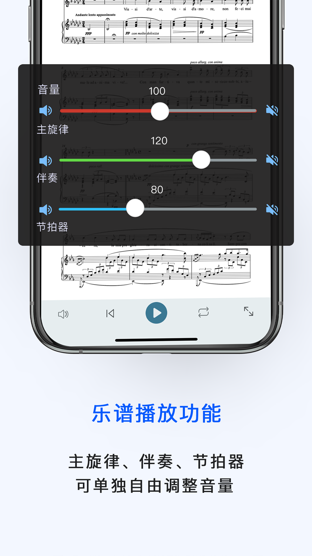 国际乐谱截图3