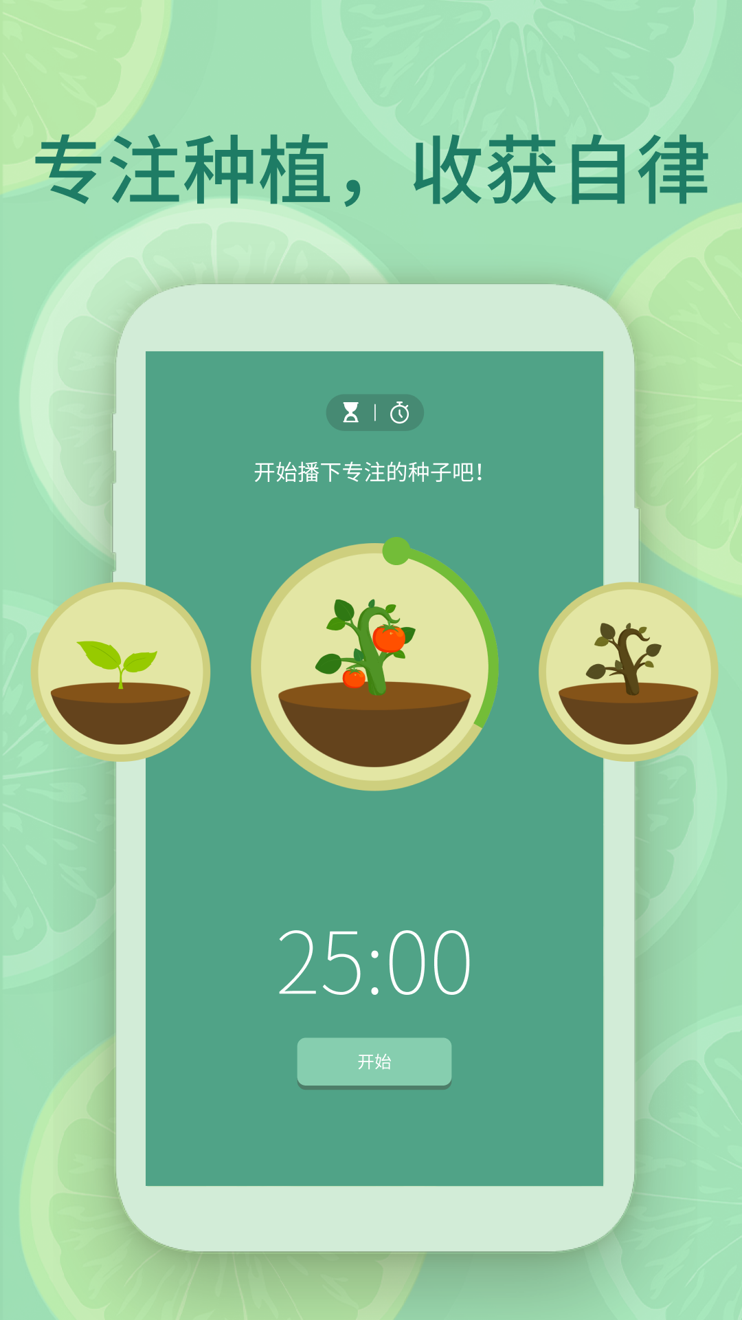 专注番茄截图2