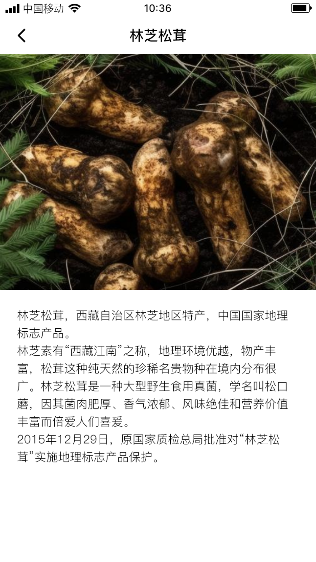 苏木松茸截图4