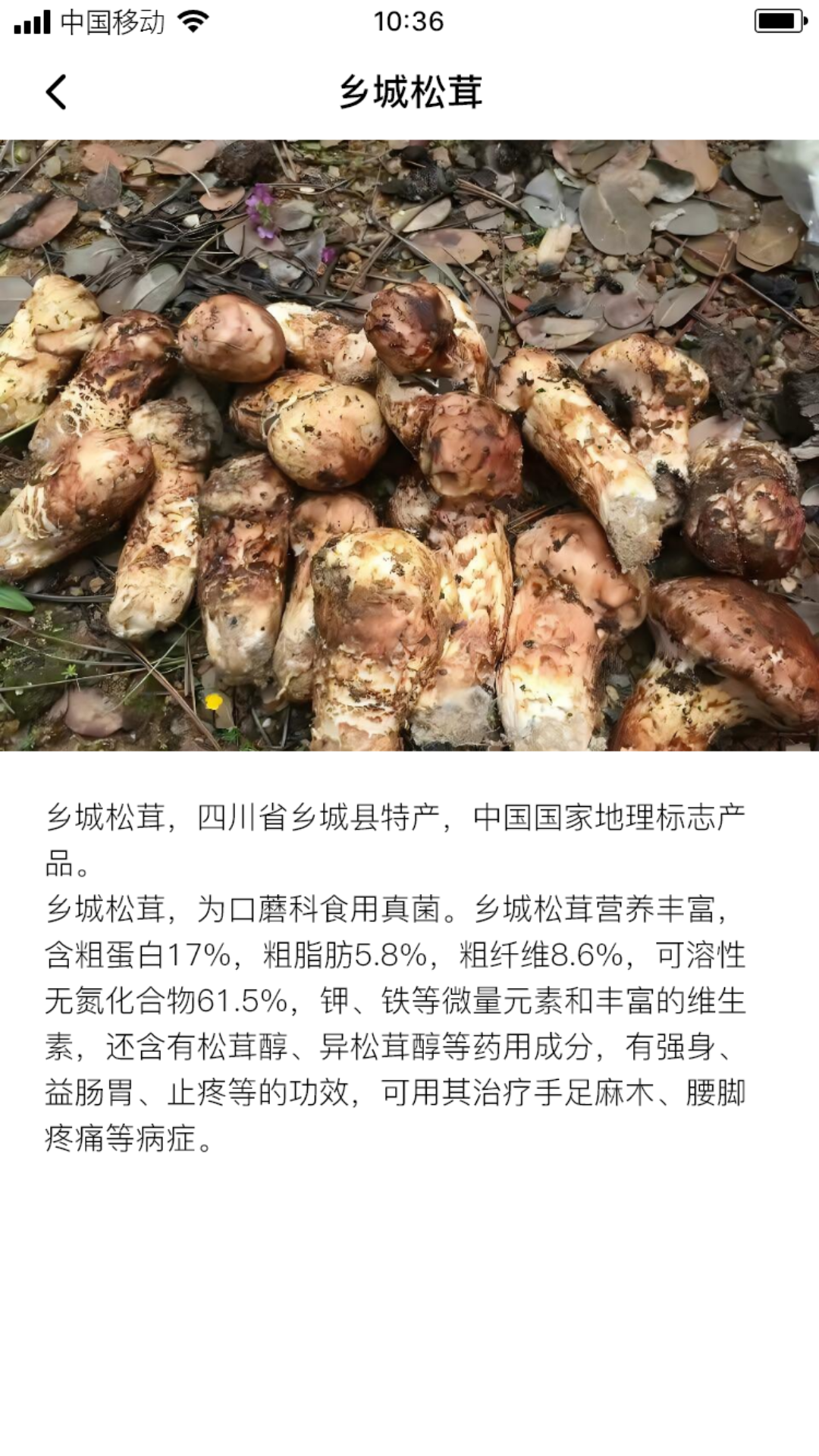 苏木松茸截图3