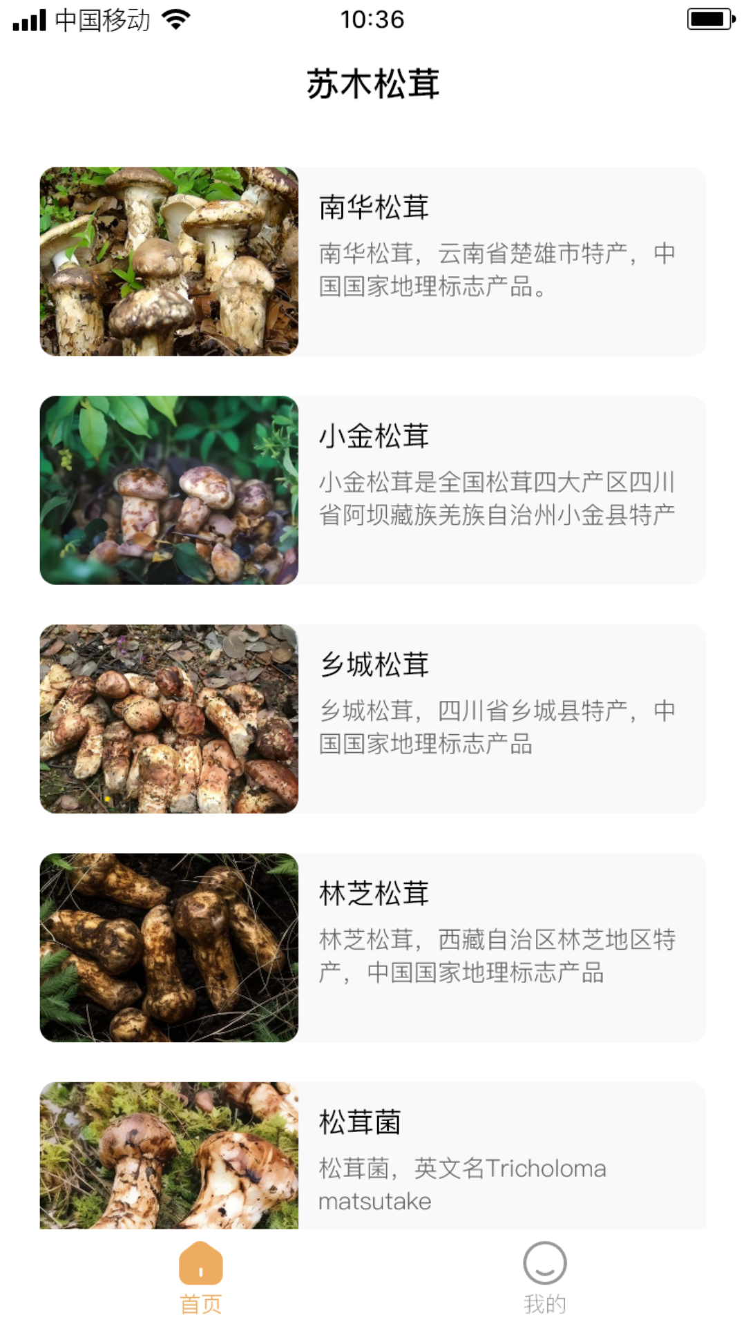 苏木松茸截图1