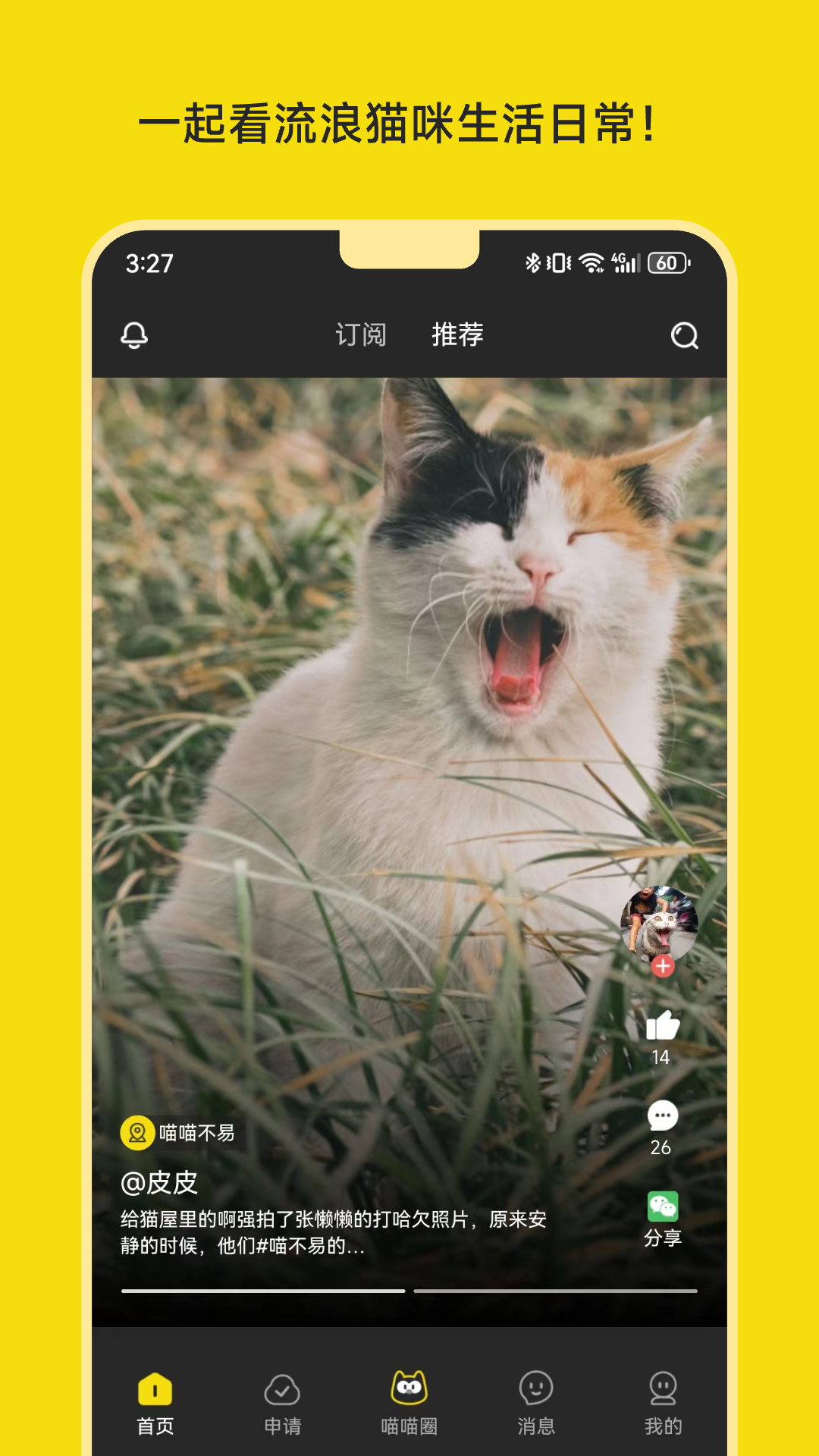 喵喵不易截图3