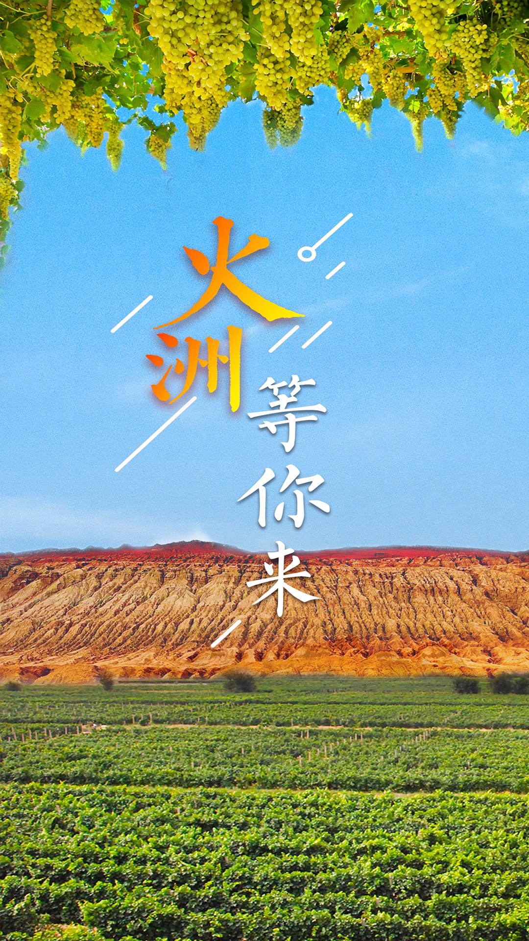 高昌好地方截图2