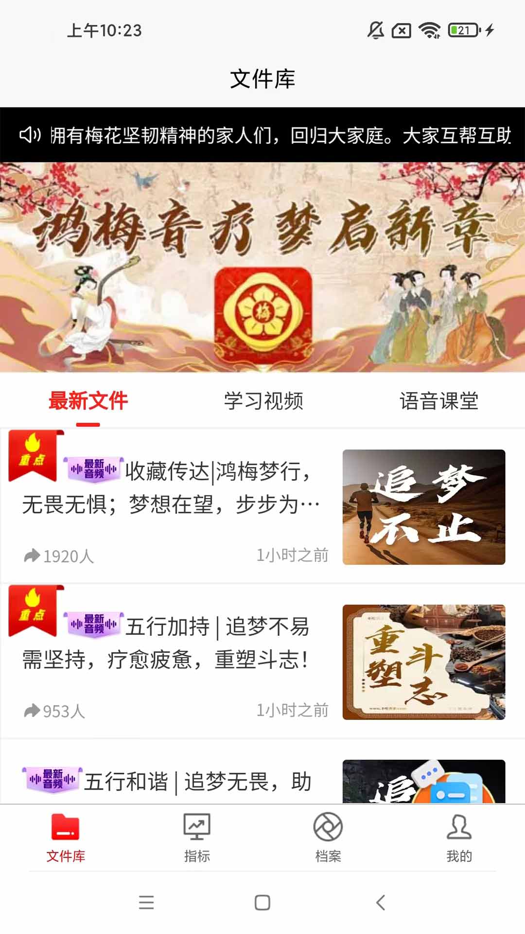 鸿梅精英版