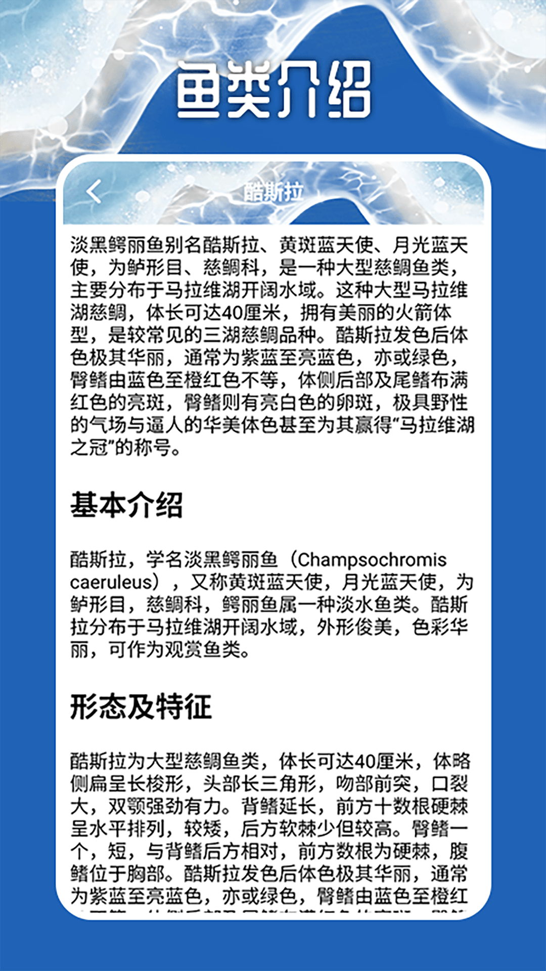 天天钓鱼大师截图4