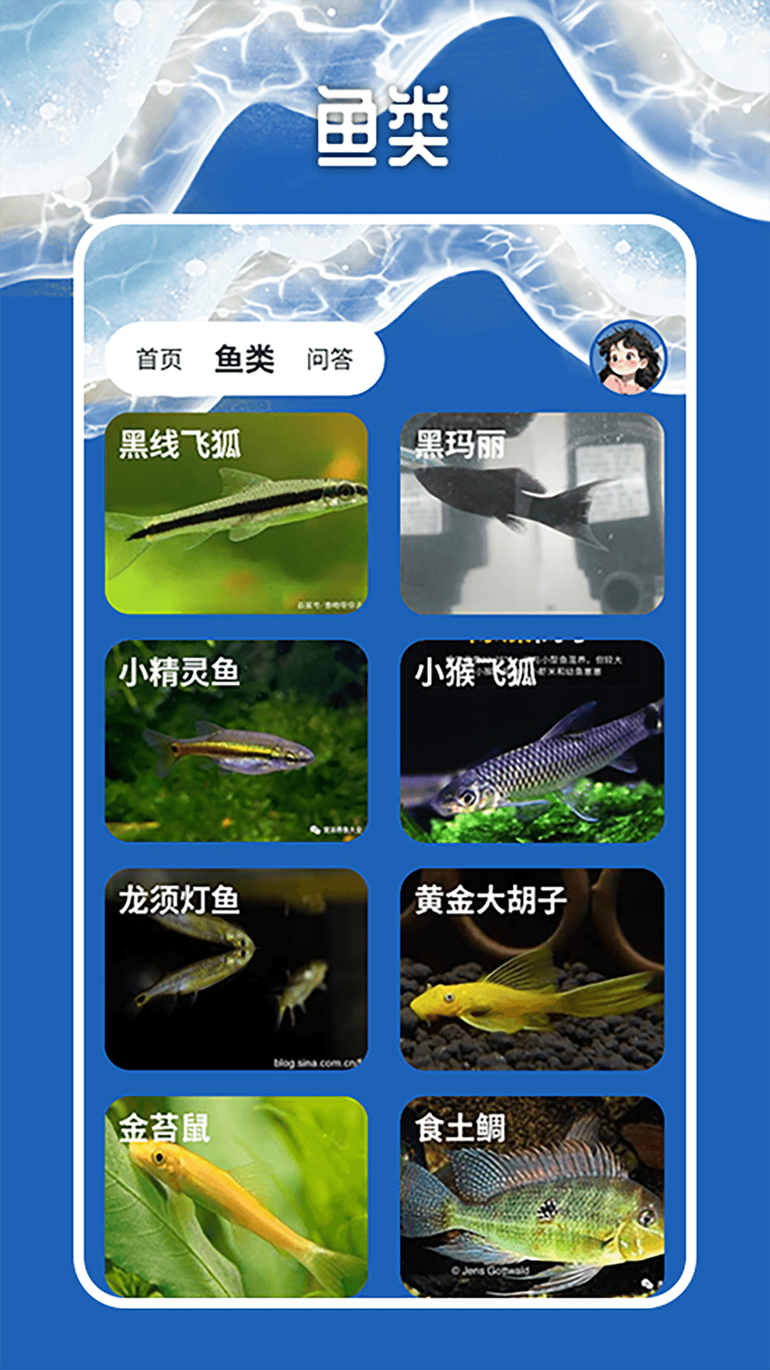 天天钓鱼大师截图2