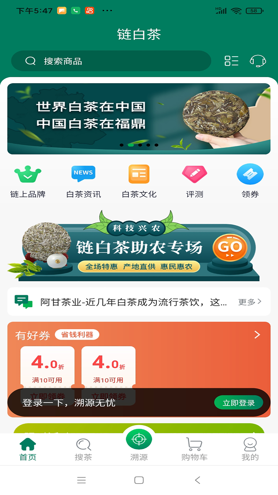 链白茶