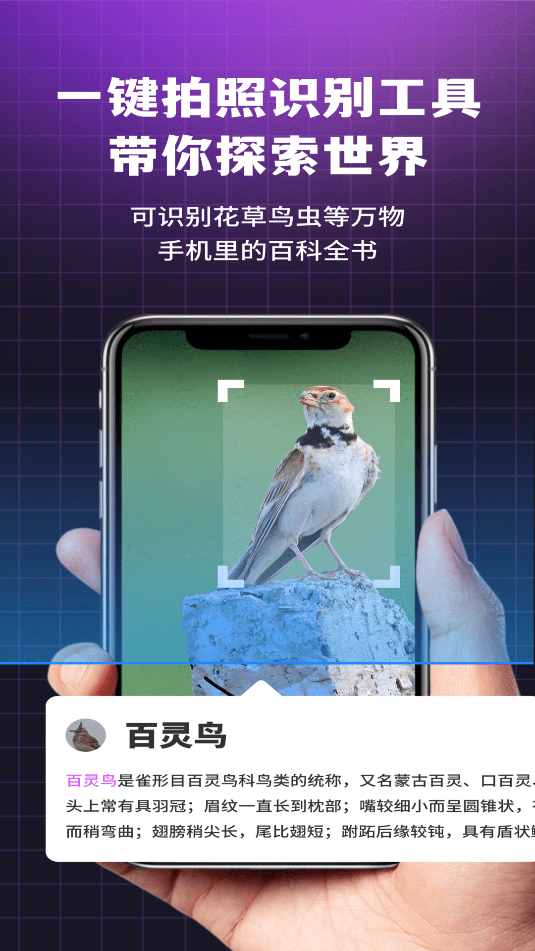 i浏览器无痕版