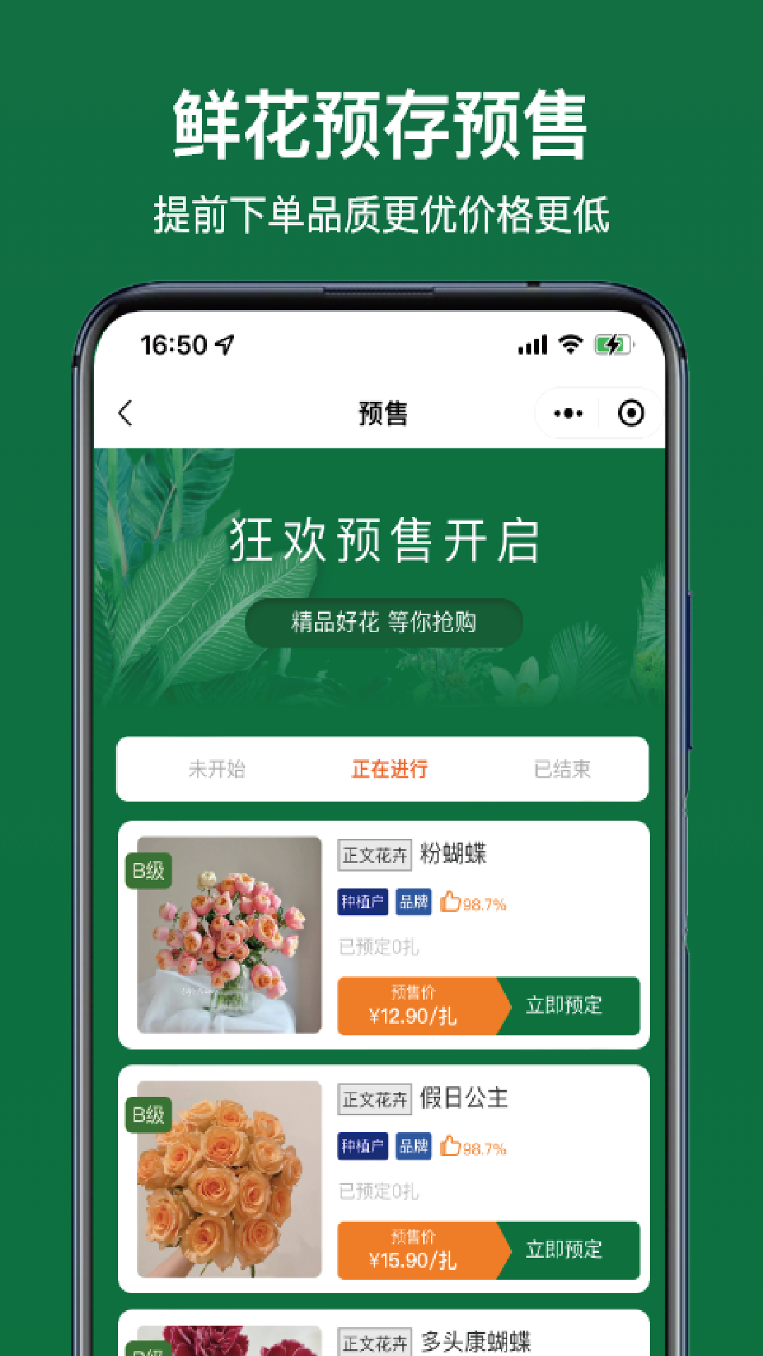 斗南花城截图5