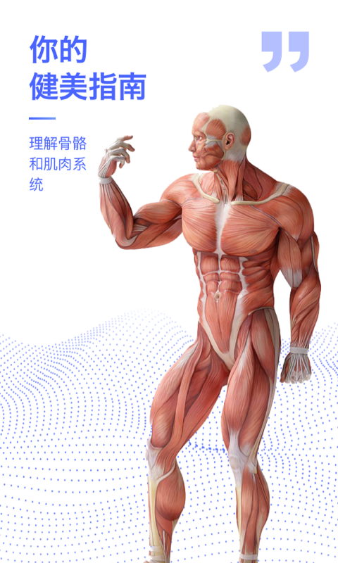 人体3d解剖图谱