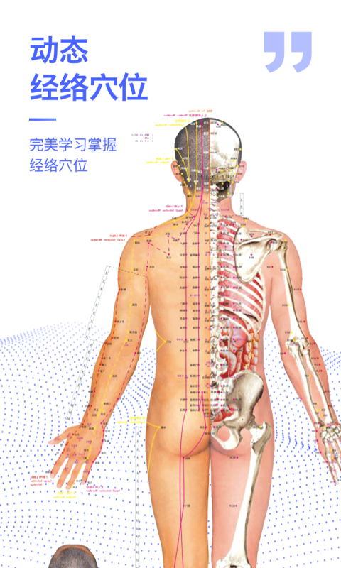 人体3d解剖图谱
