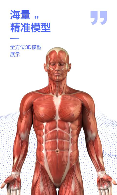 人体3d解剖图谱