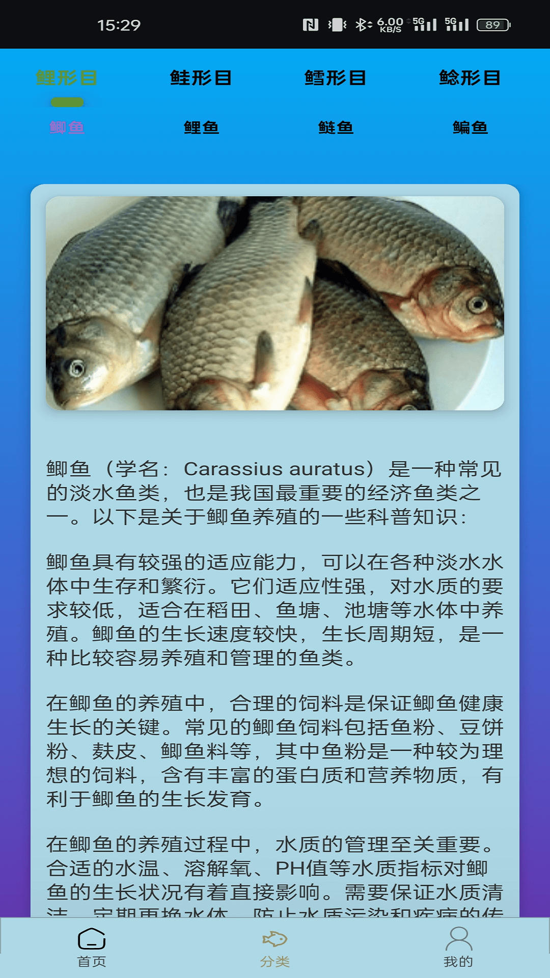 鱼塘妙手