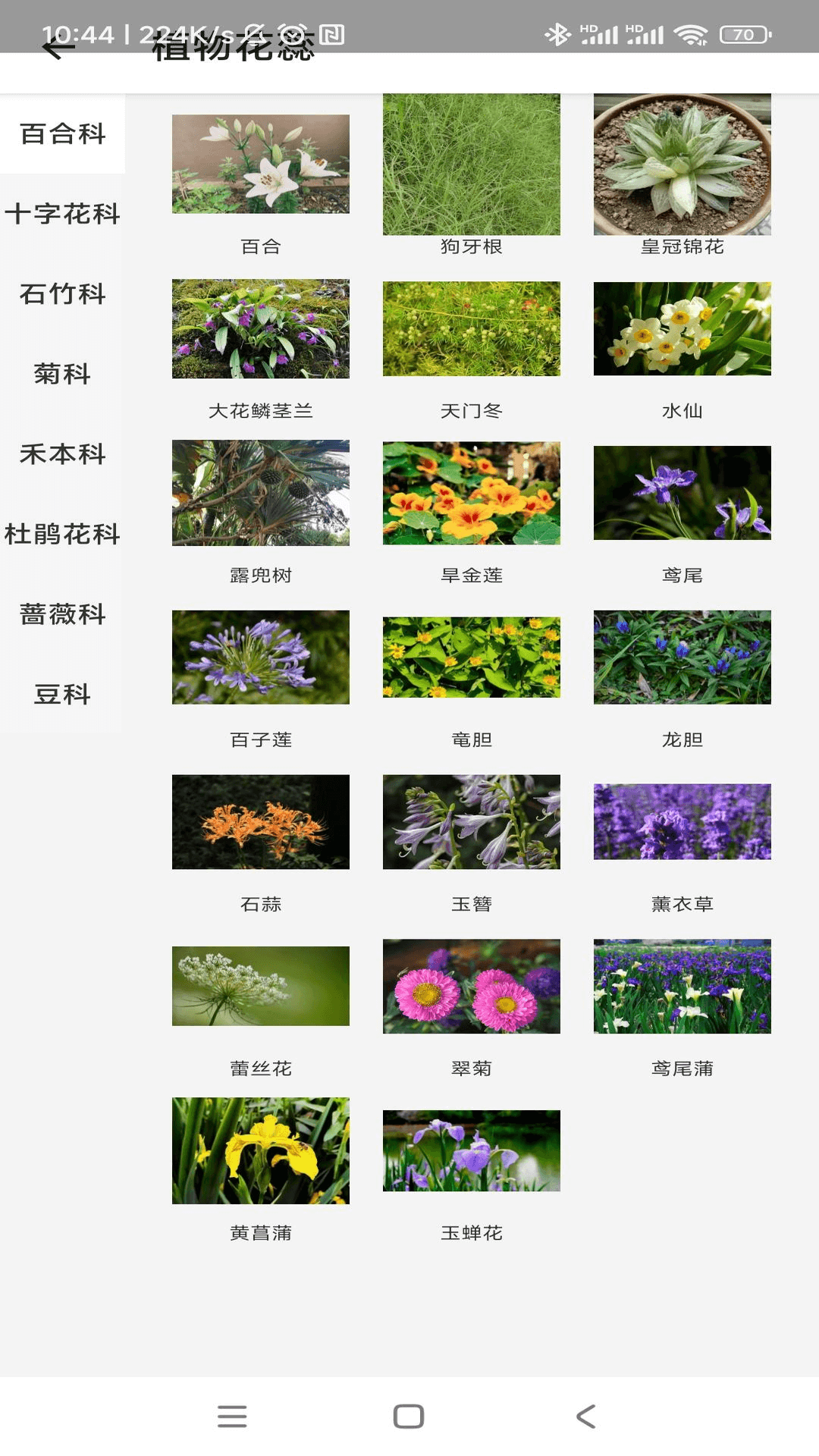 动物趣览截图4
