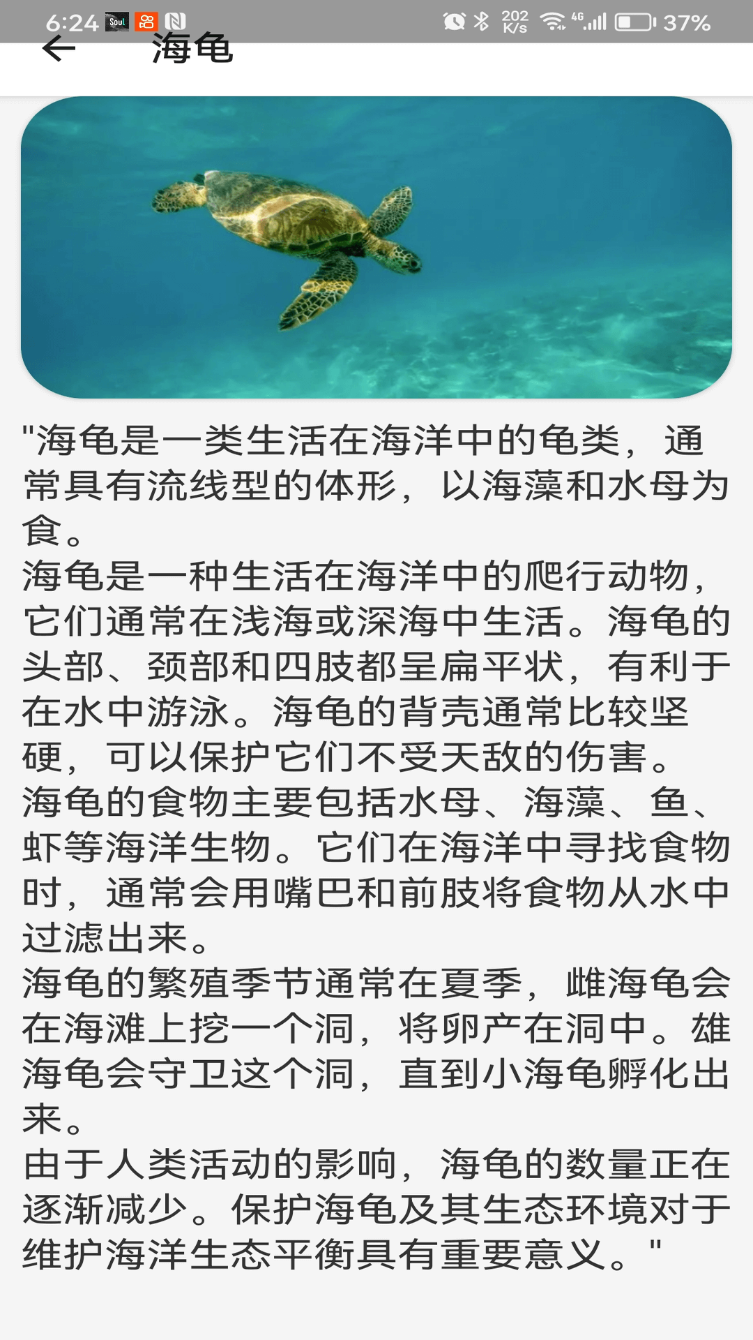 动物趣览截图2