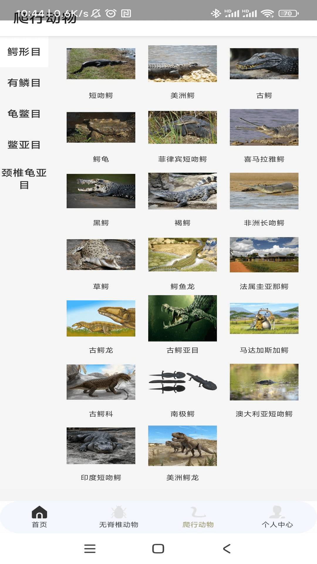 动物趣览截图3