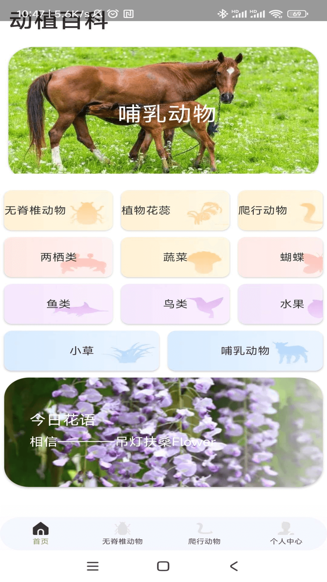 动物趣览截图1