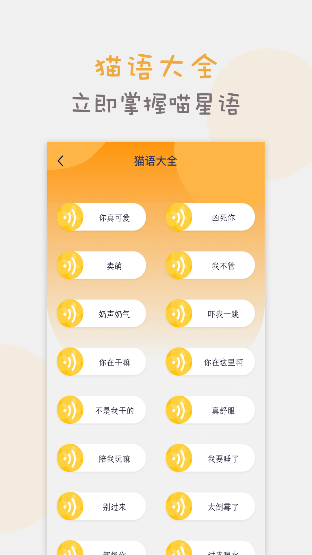 猫语猫咪翻译器截图7