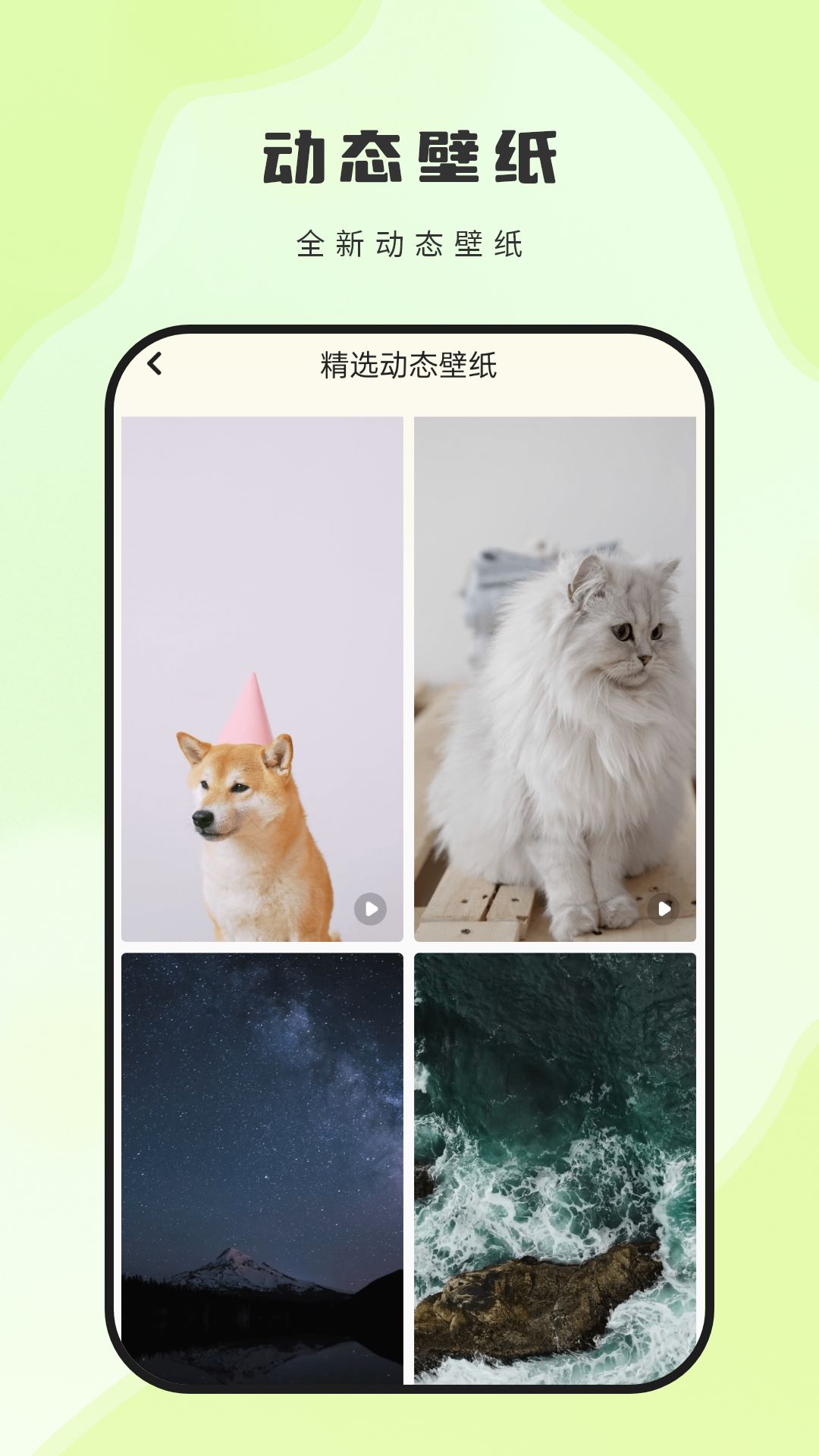 神图壁纸