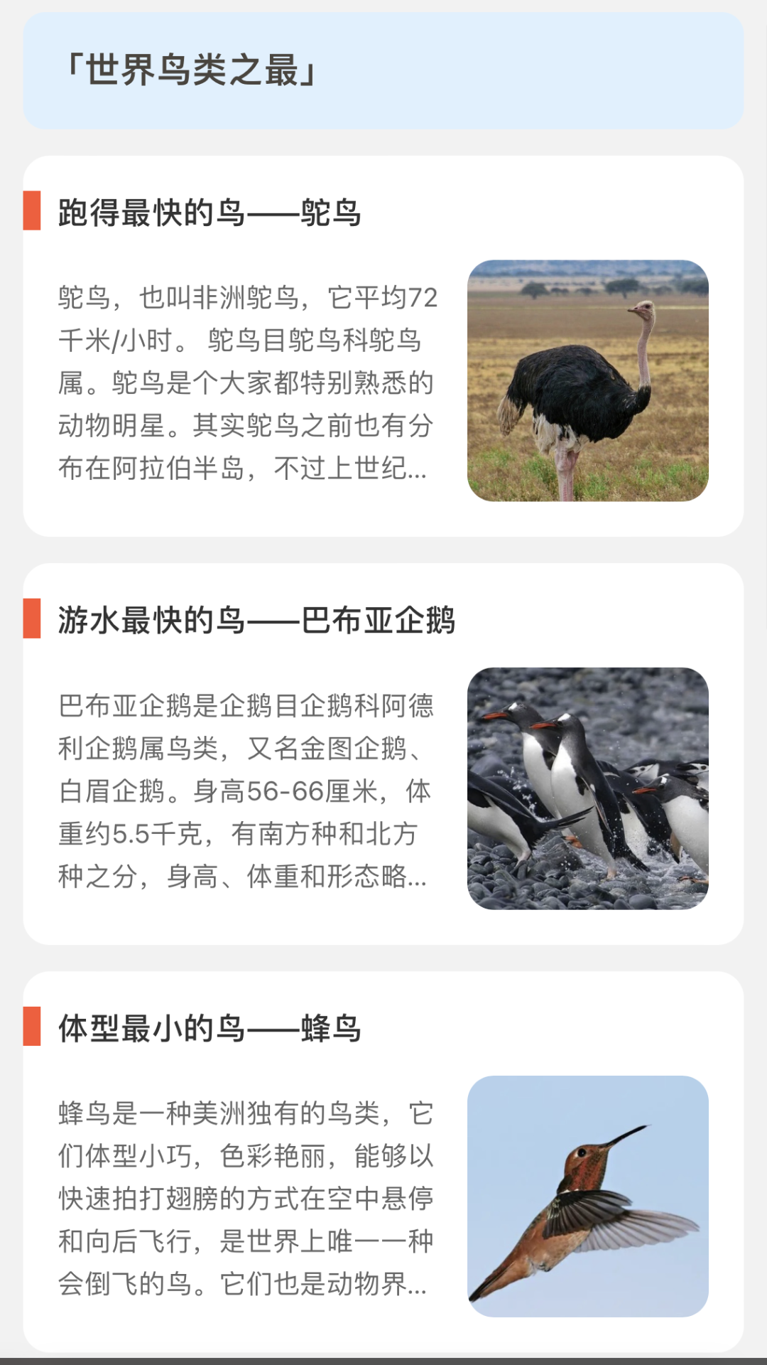 青鸟看看截图1