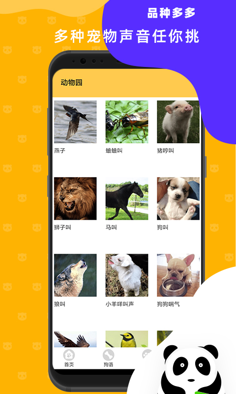 猫狗翻译神器截图4
