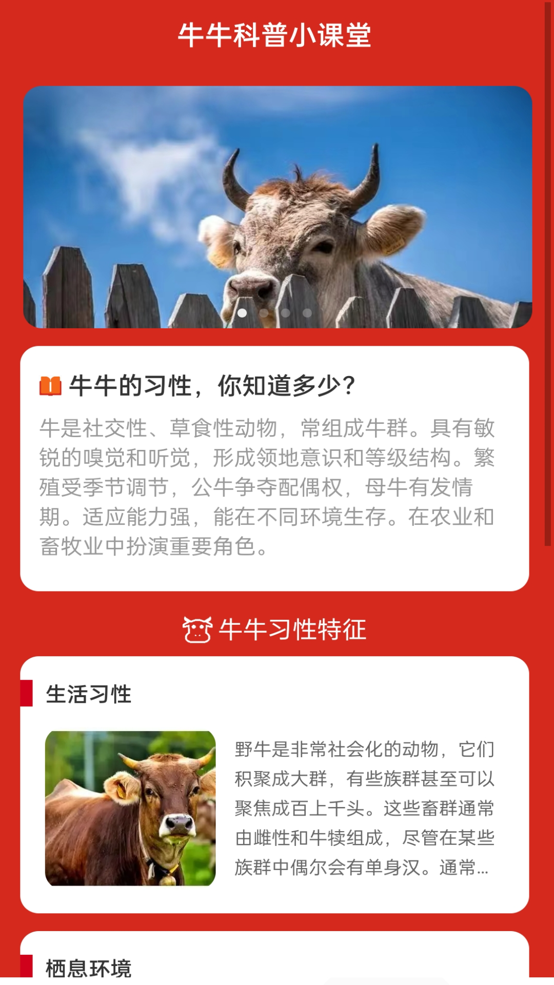 牛气wifi截图4