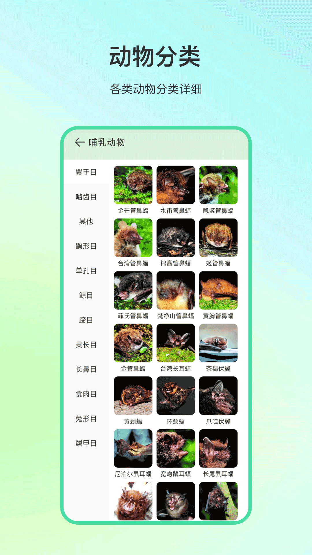 动物百科截图2