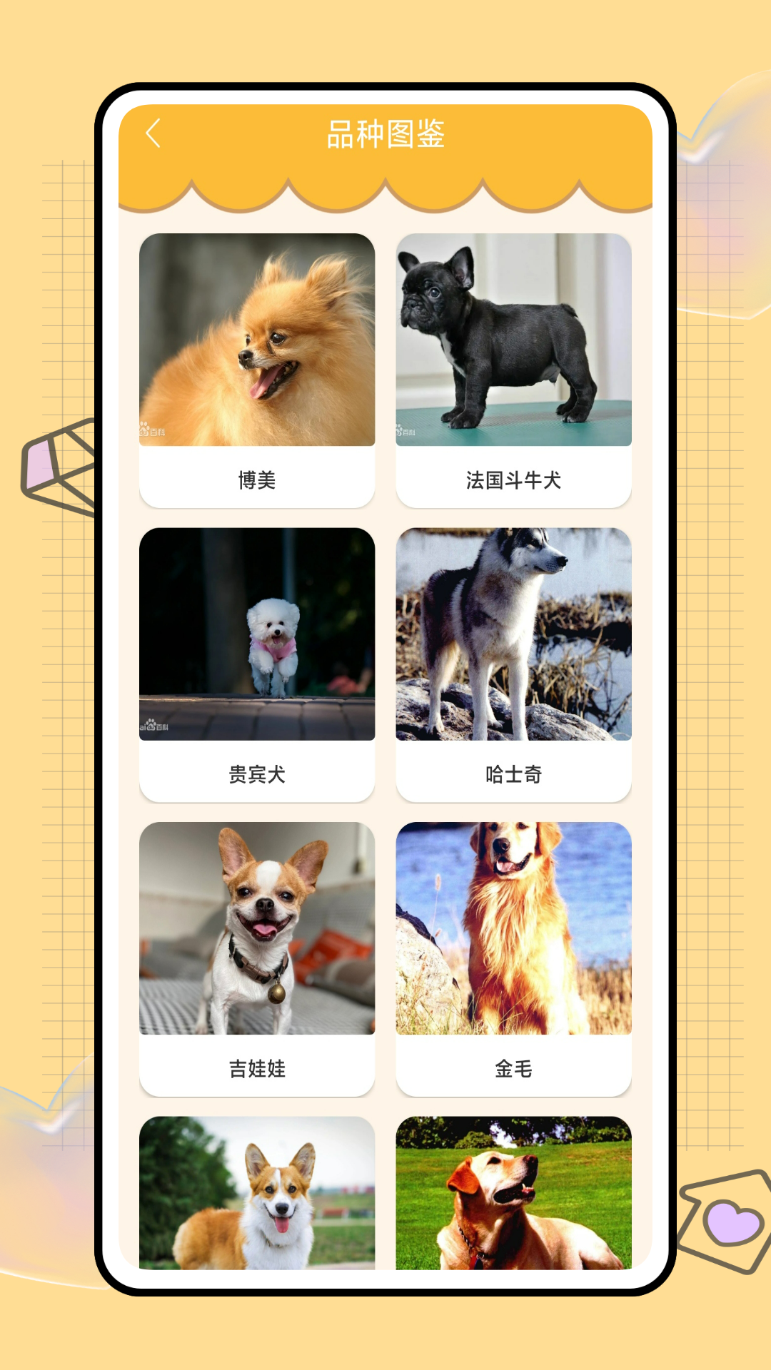 猫猫狗狗翻译器截图4