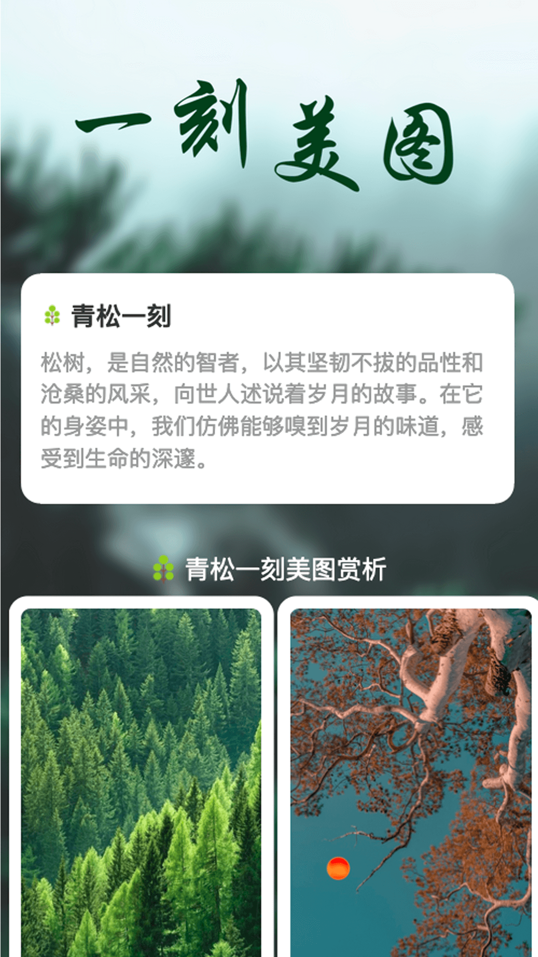 青松一刻截图2