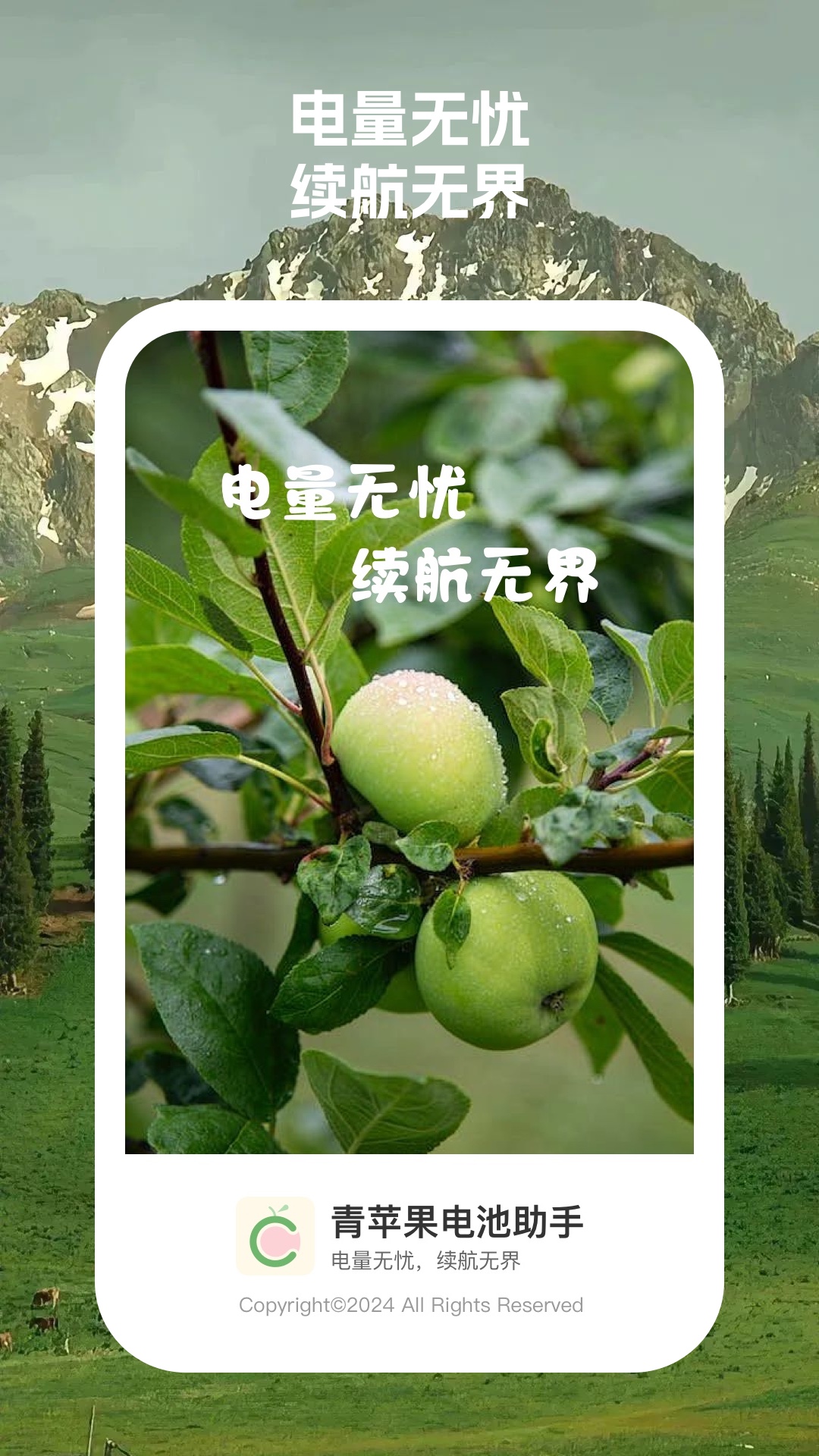 青苹果电池助手截图1