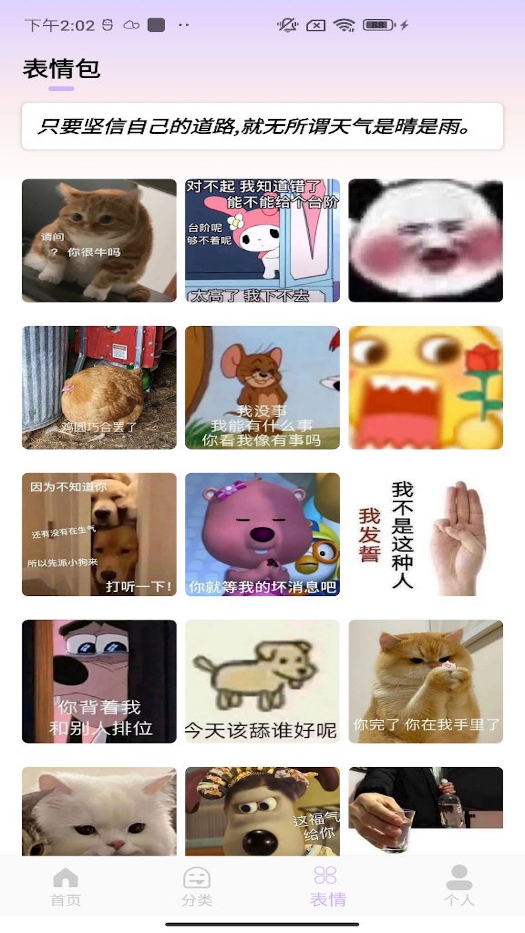 皮皮动态壁纸截图