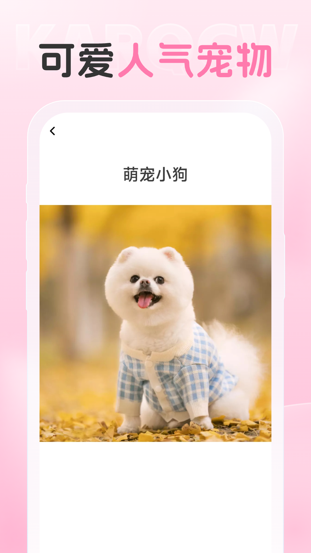 爱炫相机截图3