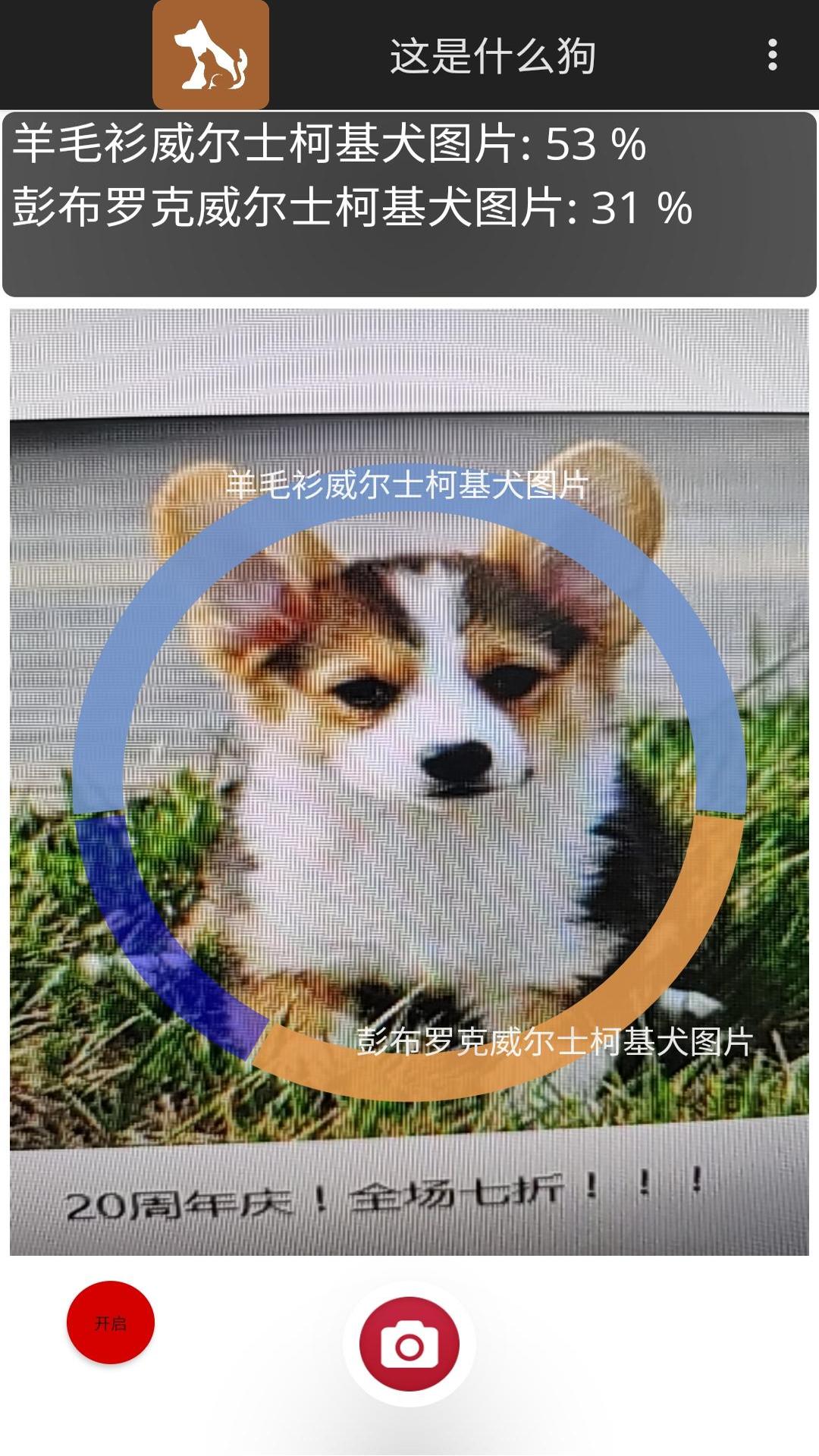 这是什么狗截图3