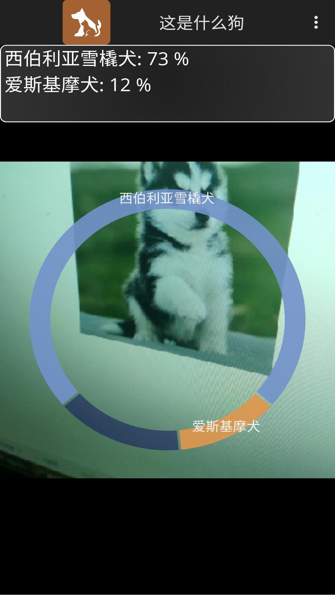 这是什么狗截图4