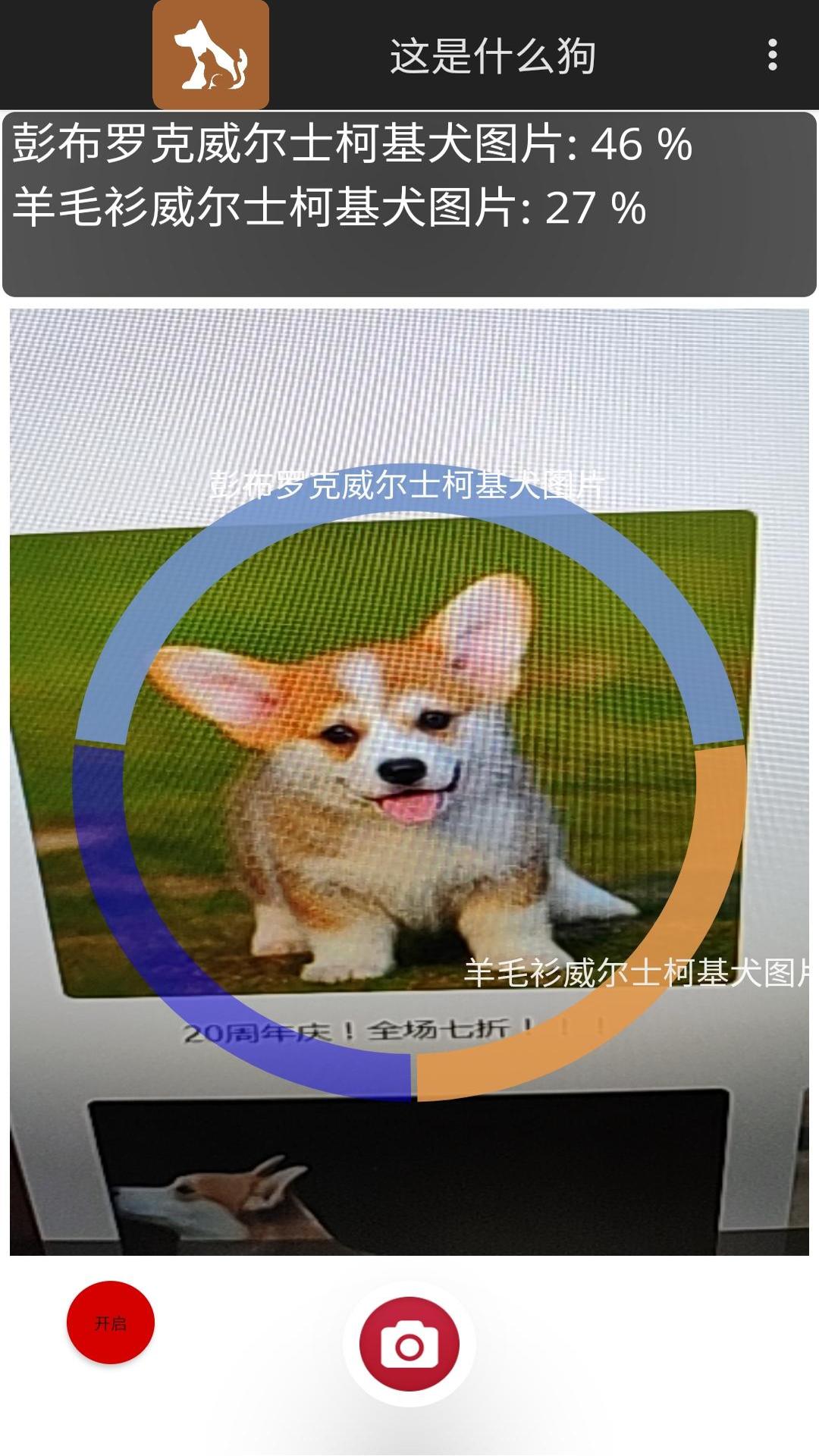 这是什么狗截图2