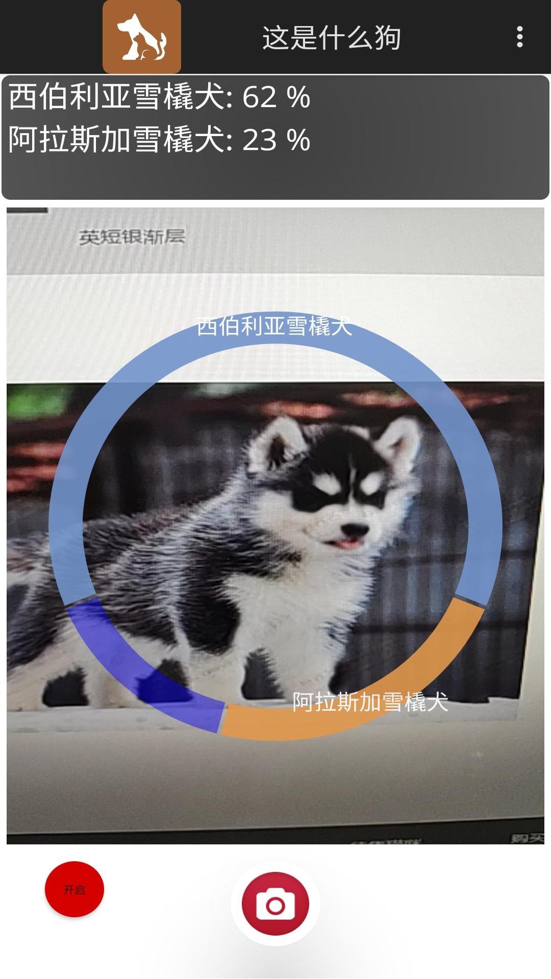 这是什么狗截图1