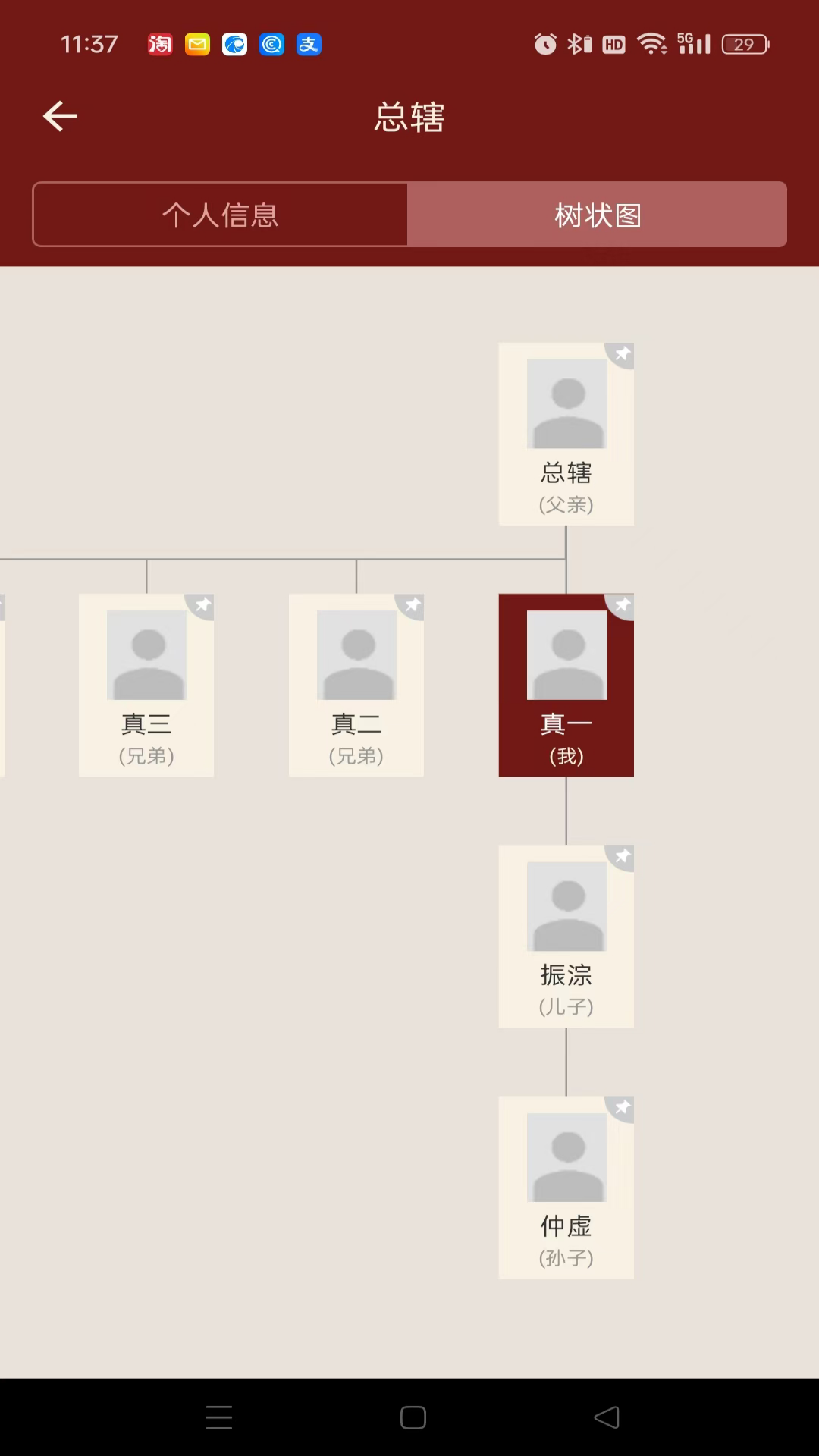 藤云家谱截图4