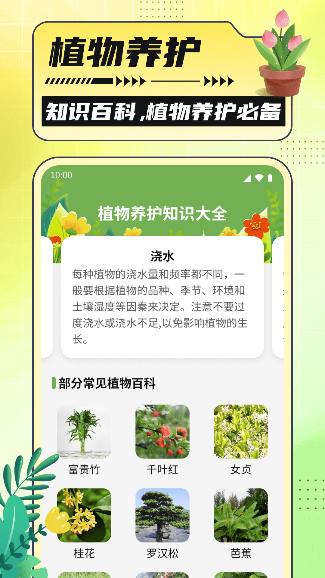 银杏助手大字版截图2