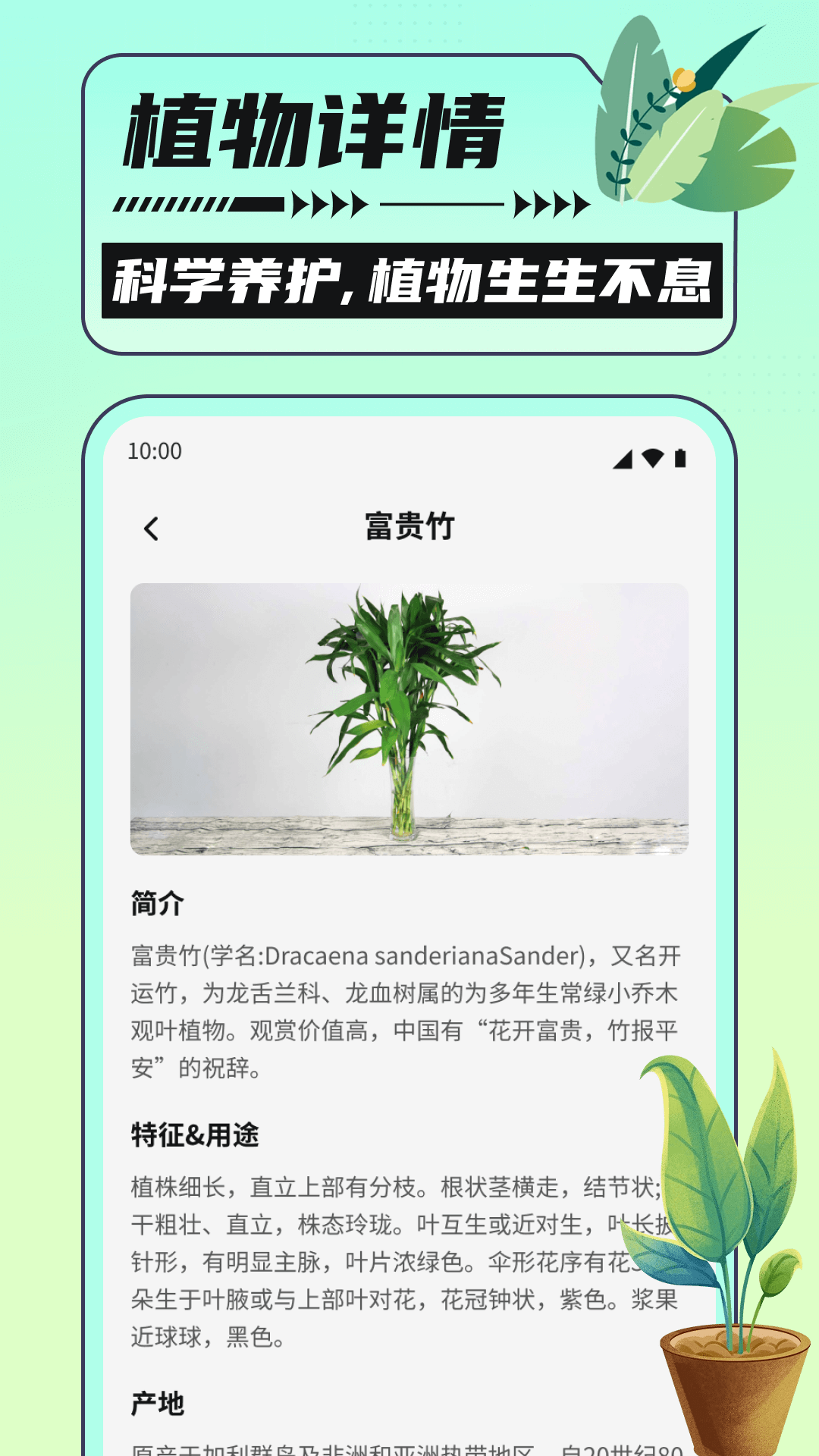 银杏助手大字版截图3