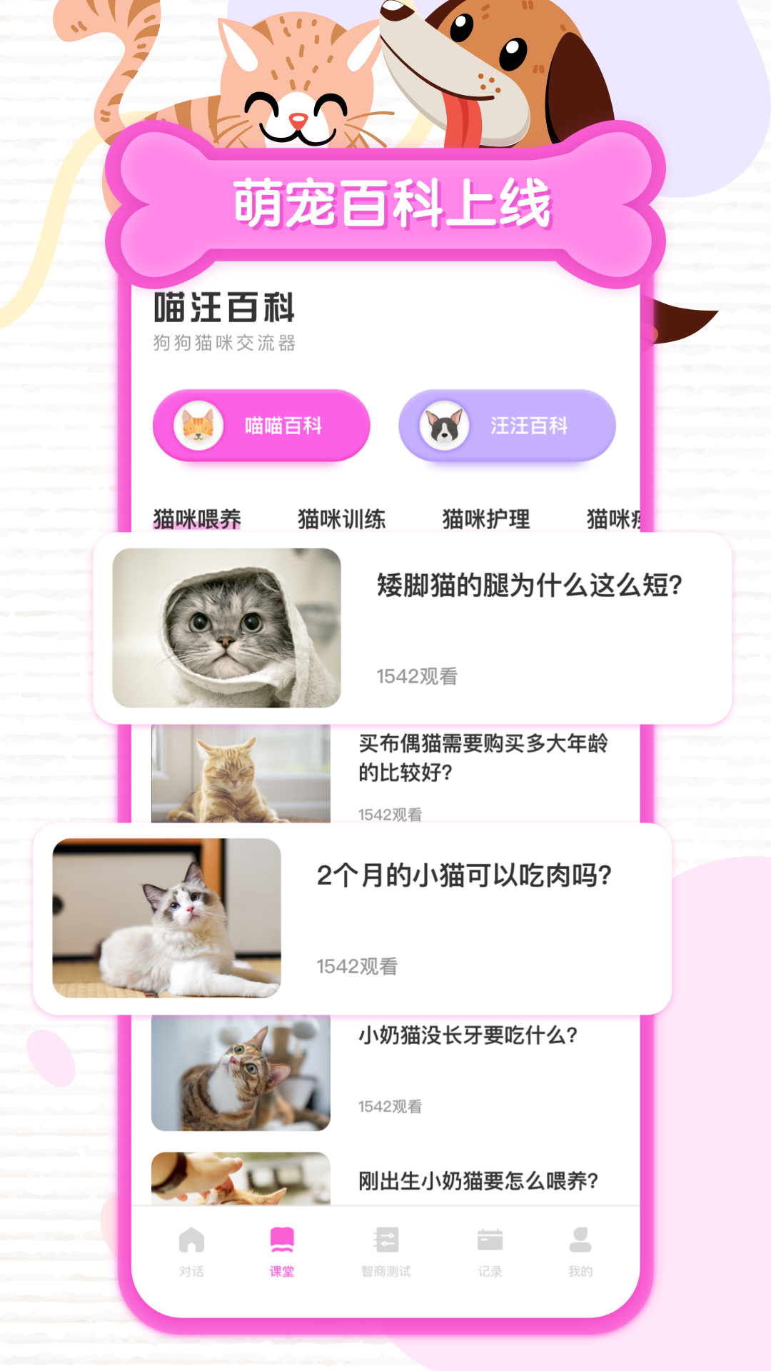 人猫交流器