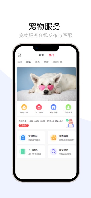 宠夫子截图2