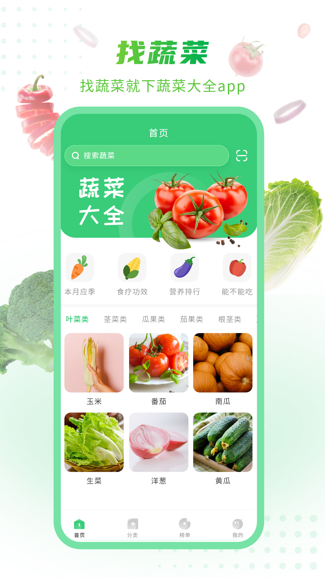 有机蔬菜截图4