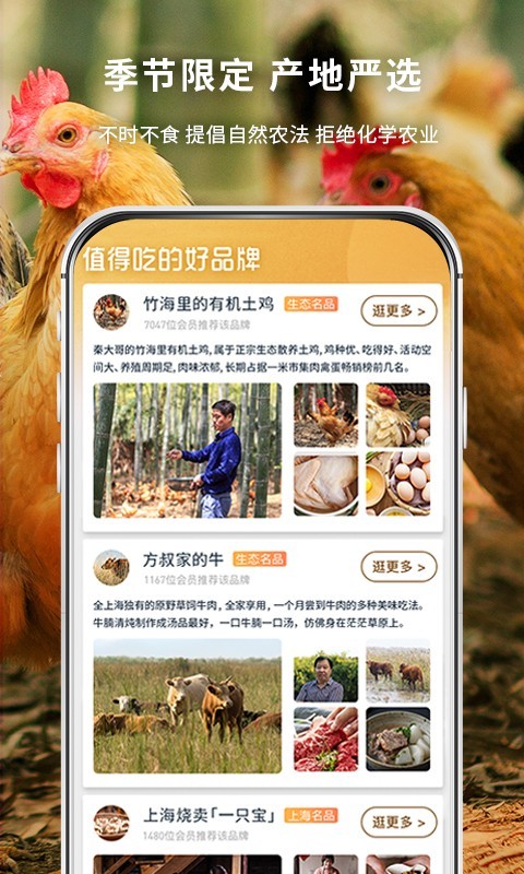 一米市集截图2
