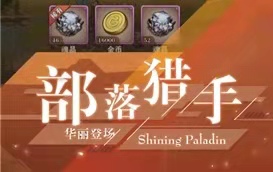 闪耀圣骑