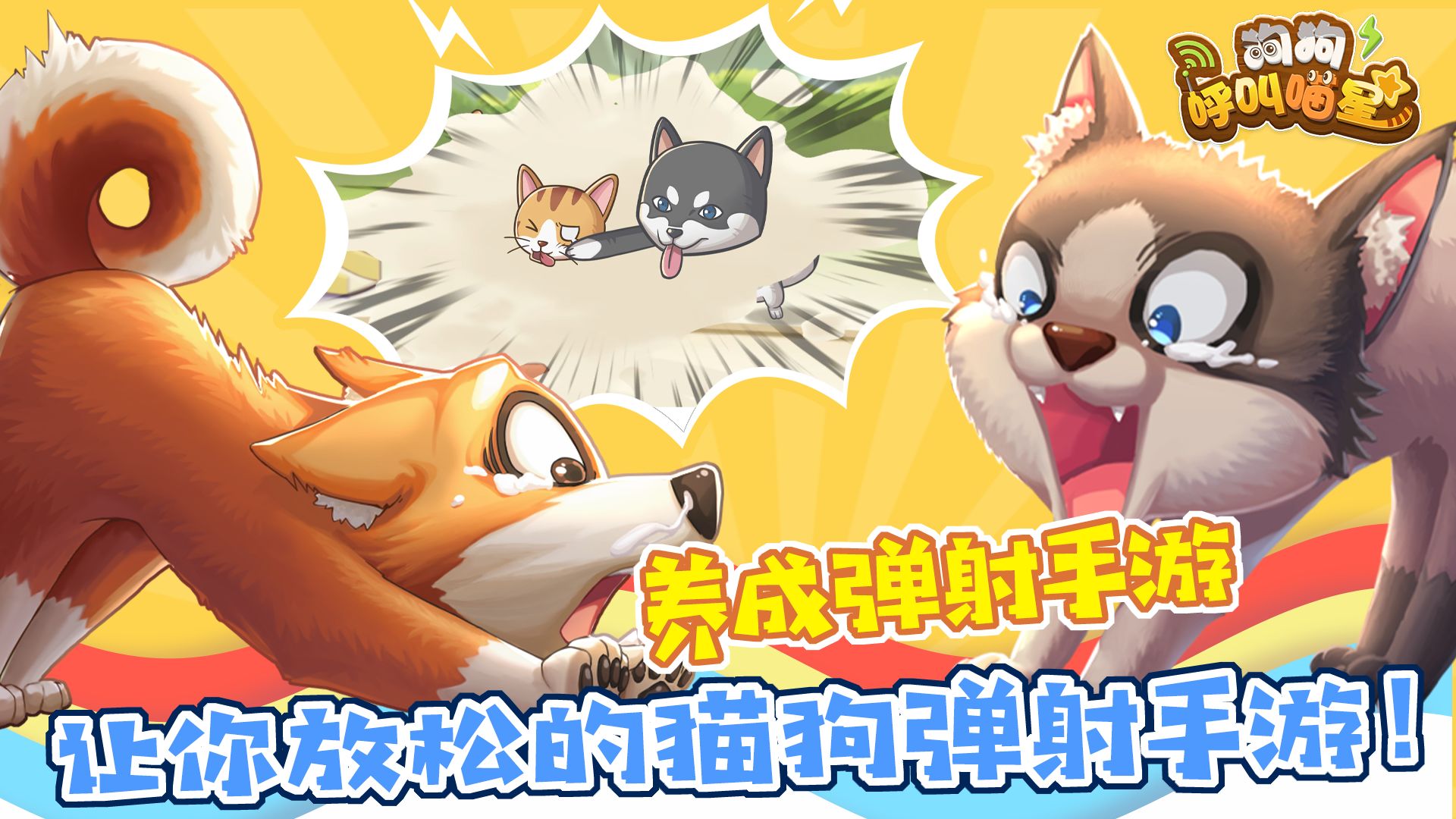 狗狗呼叫喵星截图