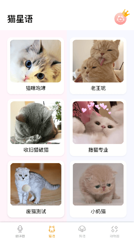 猫语截图2