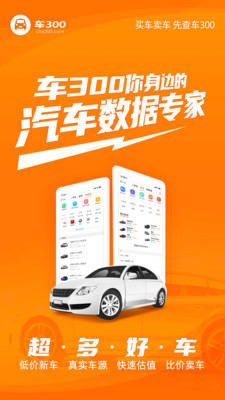 车300截图1