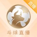 斗球